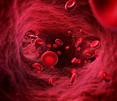 Blood flow science